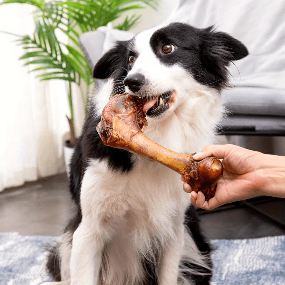 4.23-5.29oz/120-150g 5.12in/13cm Middle Large Cow Bone